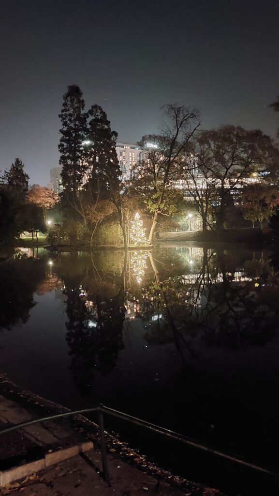 Stadtpark in Wien vor Weihnachten